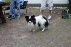 muttertags-_und_vatertagsschiessen_2015_90_20170620_1583480065